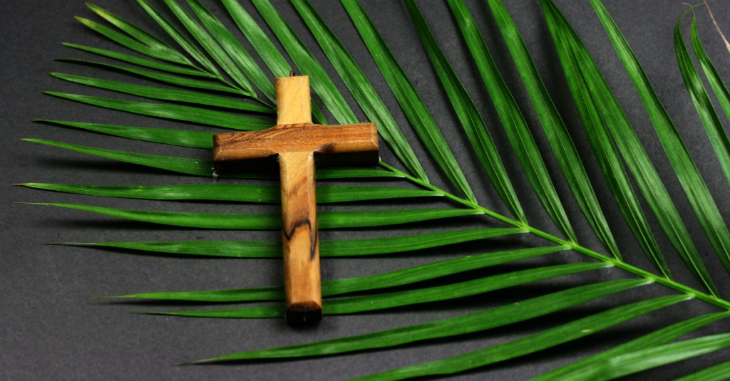 Reflection for Palm&nbsp;Sunday