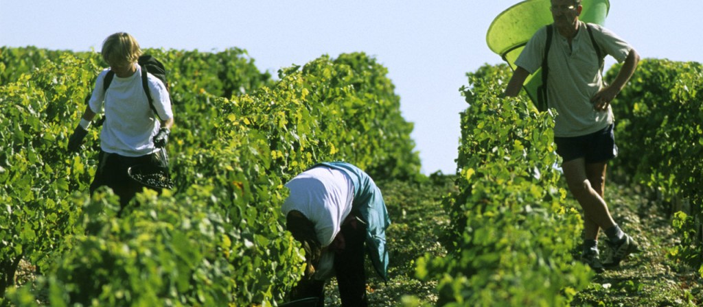 Reflection – 10 January 2020