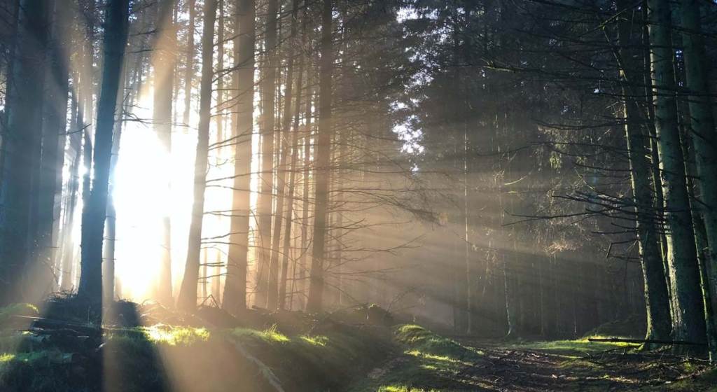 Reflection – 09 January&nbsp;2022